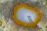 Polished Purple & Orange Banded Agate - Kerrouchen, Morocco #372681-1